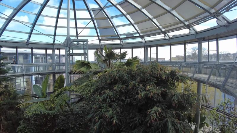 View of the winter garden in Sunderland