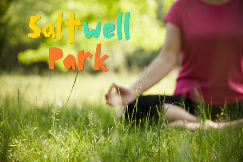 Saltwell Park